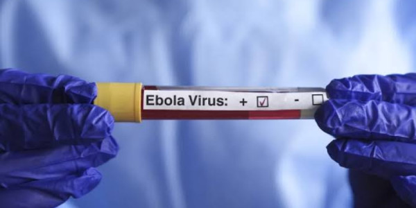 Konqoda Ebola epidemiyası 4 minə yaxın insanın ölümünə səbəb olub