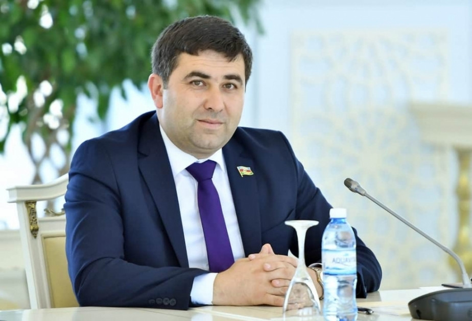 Gəncə terroru beynəlxalq yaddaşa daşınmalıdır -