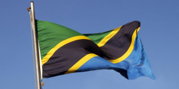 Təyyarə zebranı vurdu: Tanzaniyada məcburi eniş edildi