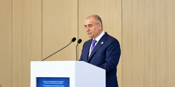 Əli Nağıyev: Əsir və itkin probleminin miqyası beynəlxalq səylərin daha da gücləndirilməsini tələb edir