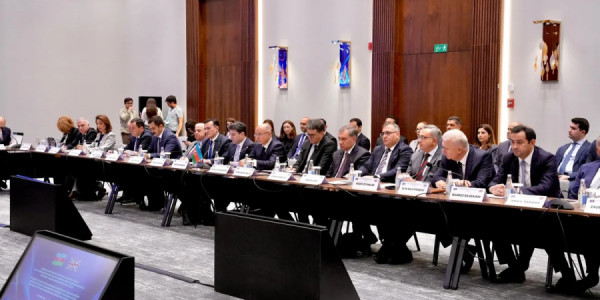 Azərbaycanla Birləşmiş Krallıq arasında ali təhsil müəssisələrinin əlaqələrindən danışılıb
