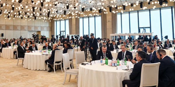 İtkin düşmüş şəxslərlə bağlı Bakı Dialoqu çərçivəsində yekun bəyannamə qəbul edilib