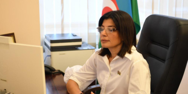 Türk dövlətləri vahid informasiya məkanı yaradır? TÜRKPA-da mühüm müzakirə
