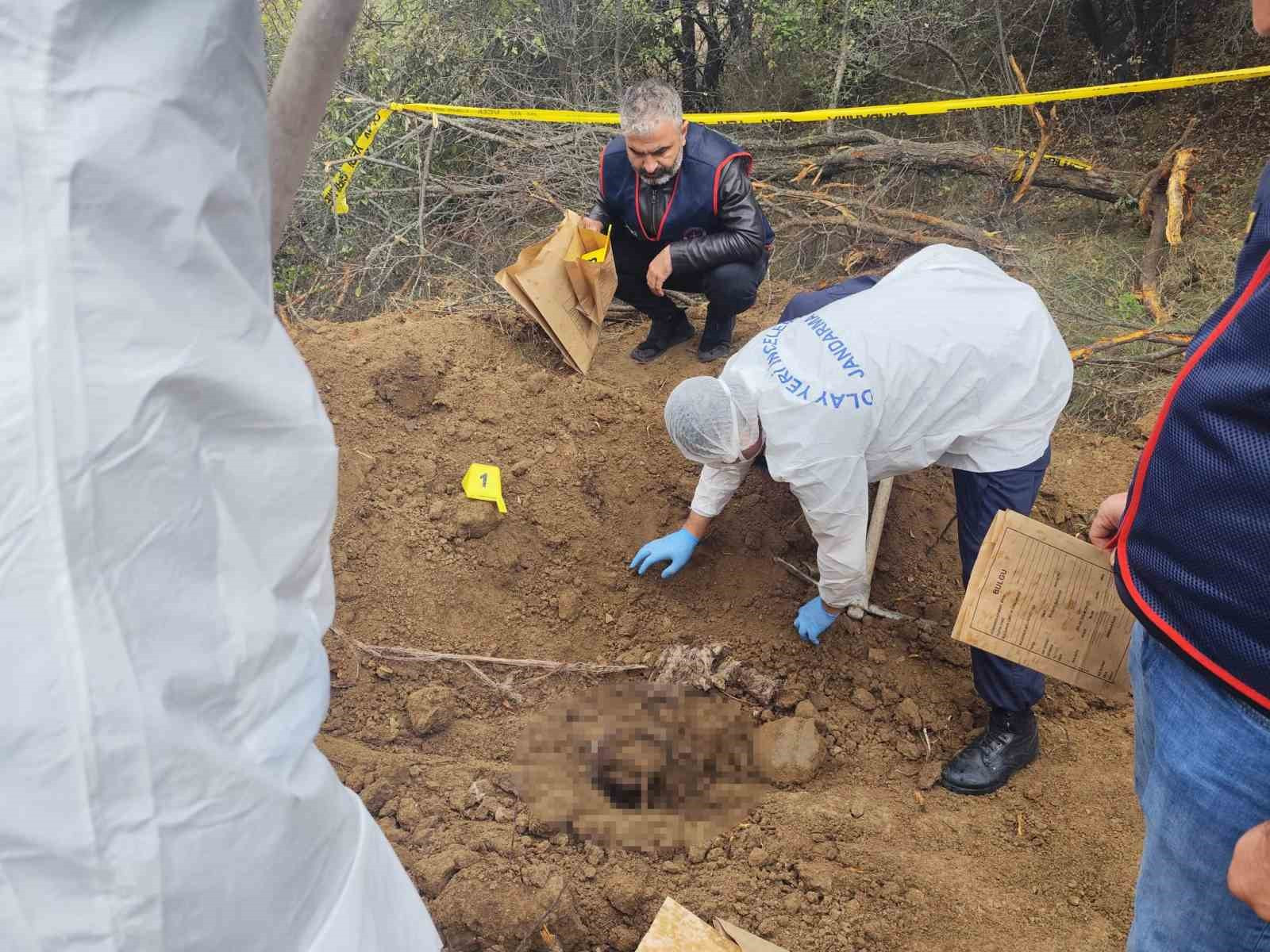 20 il əvvəl itkin düşən şəxsin sümükləri tapıldı