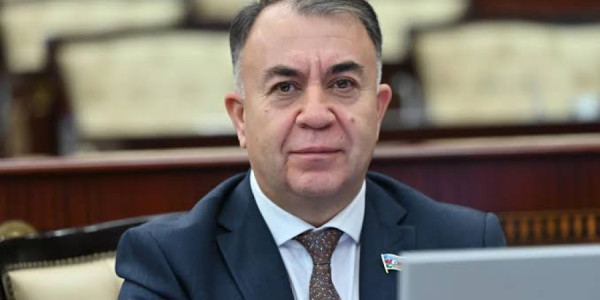 Komitə sədri: İqlim qərarları real nəticələrə çevrilməlidir