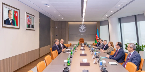 IMF ABM-yə tövsiyələr verib