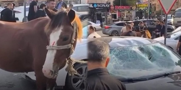 Bakıda maşın atla toqquşdu -
