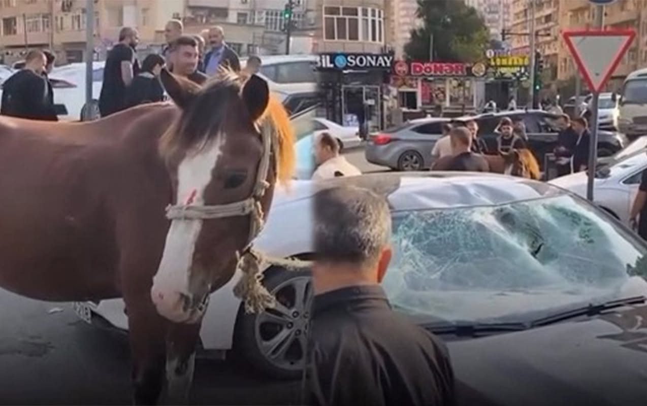 Bakıda maşın atla toqquşdu -