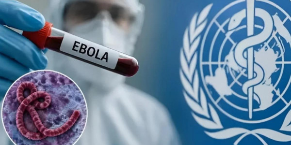 Ebola səkkizinci əyalətə yayıldı -