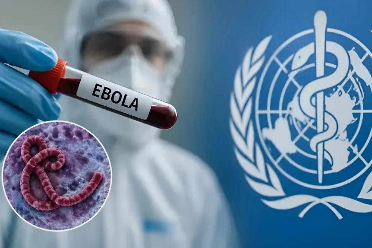 Ebola səkkizinci əyalətə yayıldı -