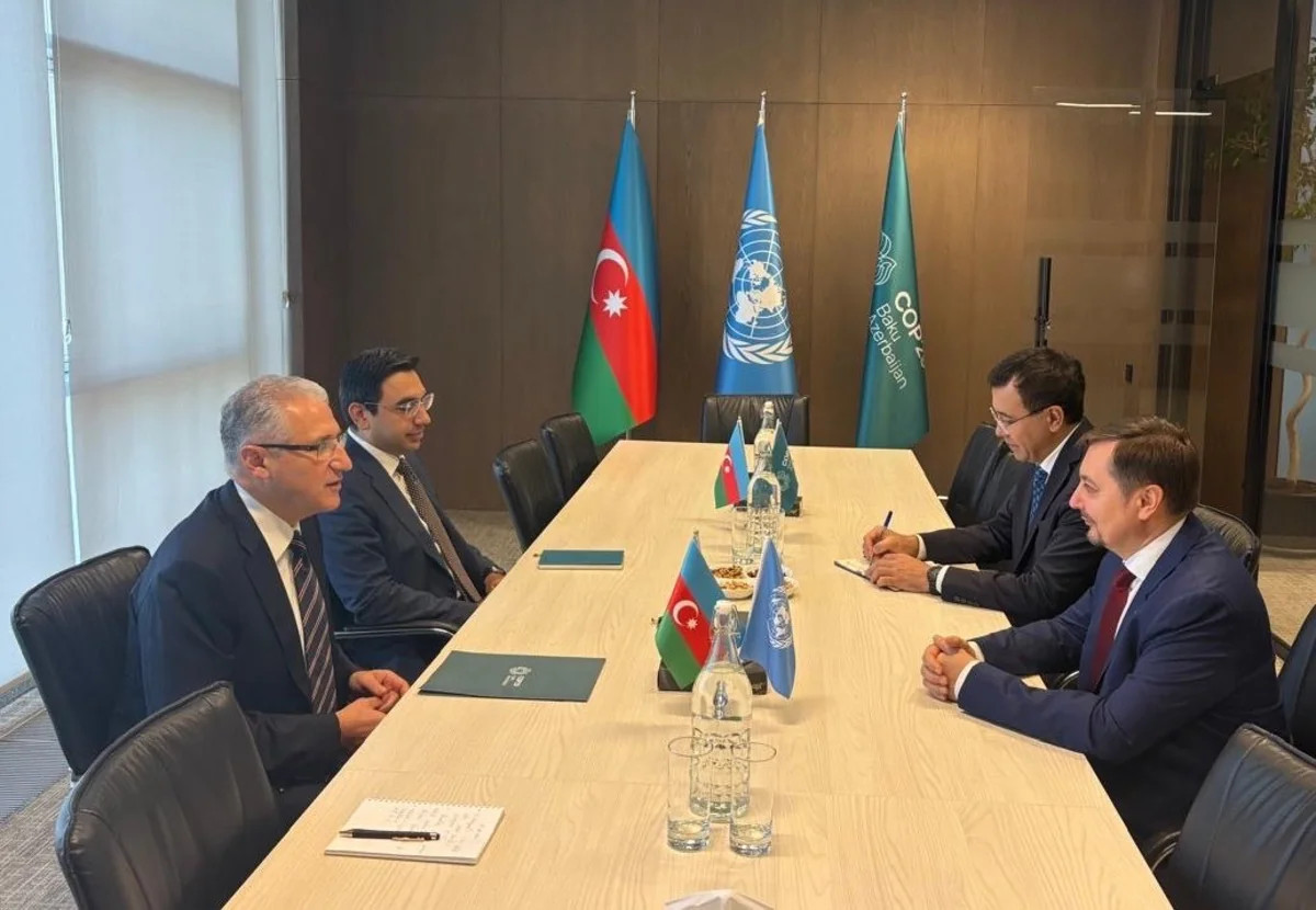 Azərbaycanla BMT Xəzərdə suyun səviyyəsinin azalmasını müzakirə edib