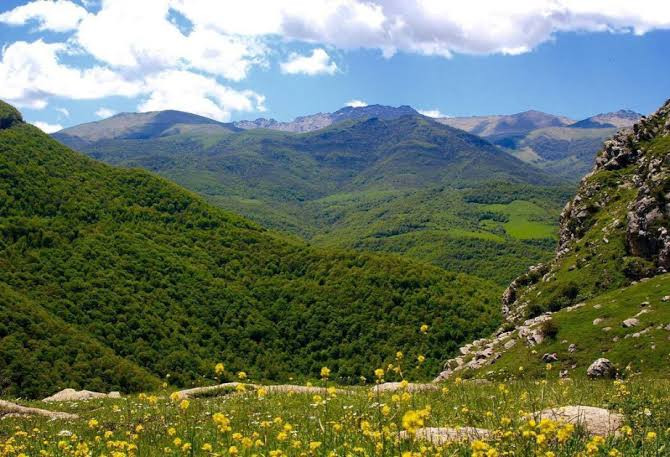Azad edilmiş ərazilərdə Qarabağ Milli Parkı yaradılır -