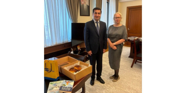 İsveç səfiri Hikmət Hacıyevlə görüşüb