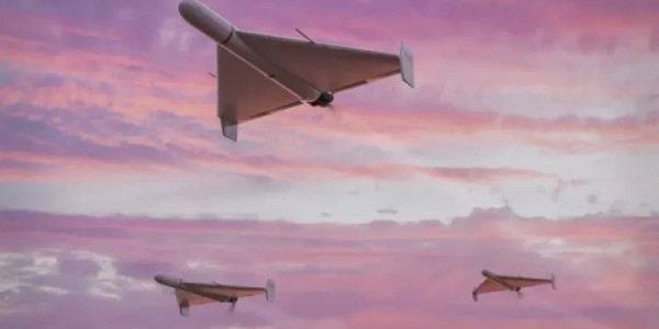Niderlandda dron həyəcanı:
