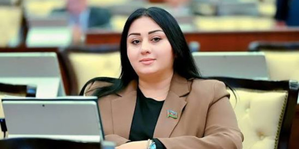 Ülviyyə Həmzəyeva: Mincivanın azad edilməsi Zəngilanın digər yaşayış məntəqələrinin azadlığına yol açdı