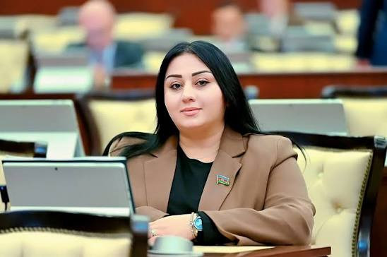 Ülviyyə Həmzəyeva: Mincivanın azad edilməsi Zəngilanın digər yaşayış məntəqələrinin azadlığına yol açdı