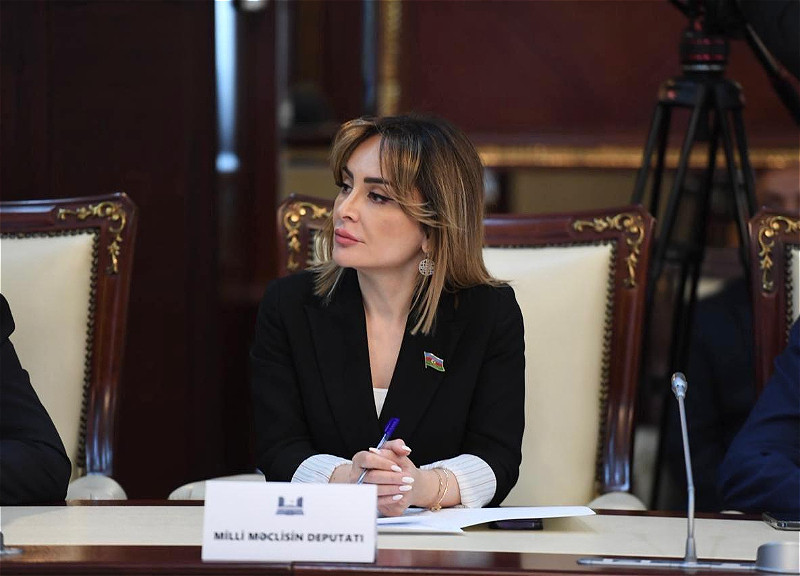 Deputat: Dayanıqlı sülh üçün Ermənistan konkret addımlar atmalıdır