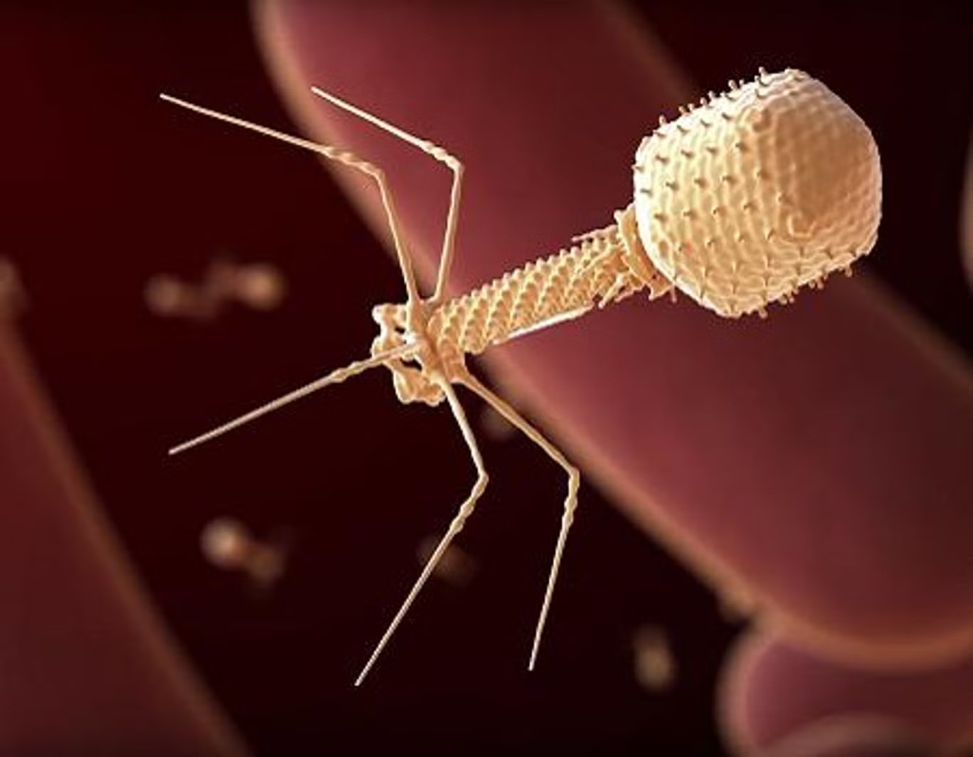 Süni intellektin yaratdığı virus ilk dəfə insana tətbiq edilib