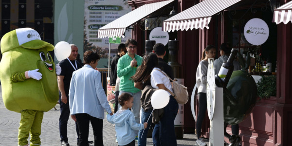 Bakıda Zeytun Festivalı keçirilir