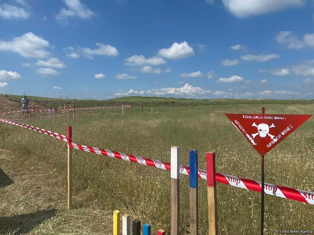 Füzulinin böyük hissəsi minalardan təmizlənib