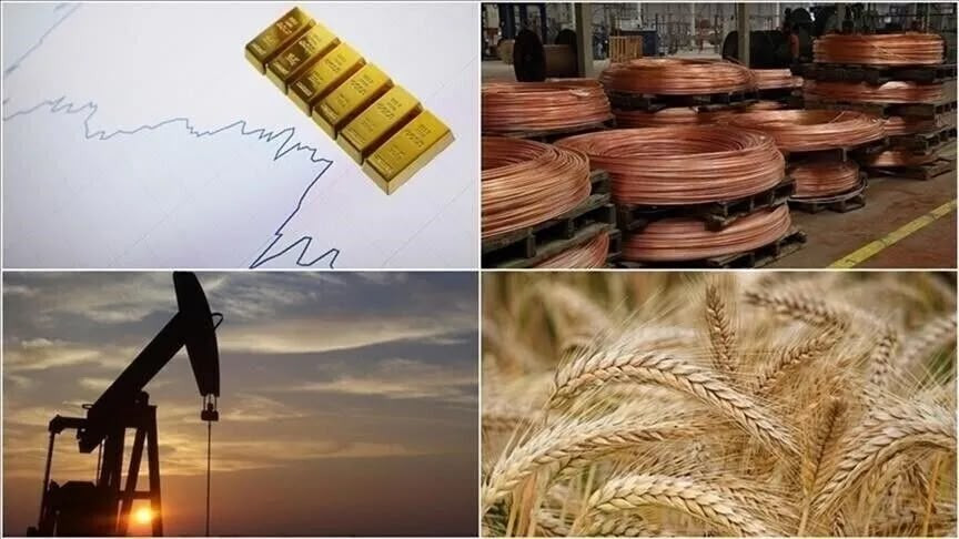 Dünya Bankı 2026-cı ildə əmtəə qiymətlərinin 23% artacağını