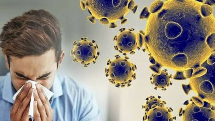 Mutasiyaya uğramış virus ABŞ-də qrip mövsümünü tezləşdirib