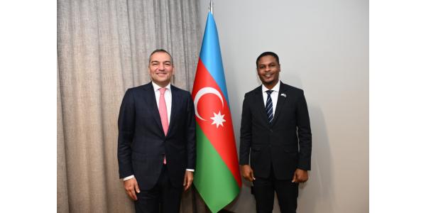 Somali turizmin inkişafı üçün Azərbaycan təcrübəsini öyrənmək niyyətindədir